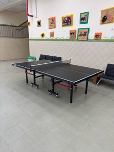 שולחן טניס פנים 18 מ"מ TENNIS indoor שולחן טניס פנים 18 מ"מ TENNIS indoor